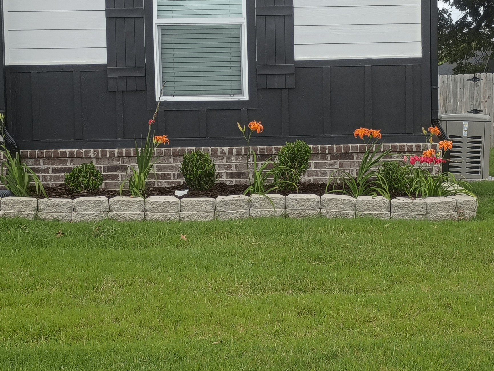 Stone block flower bed with daylilies and boxwood shrubs
